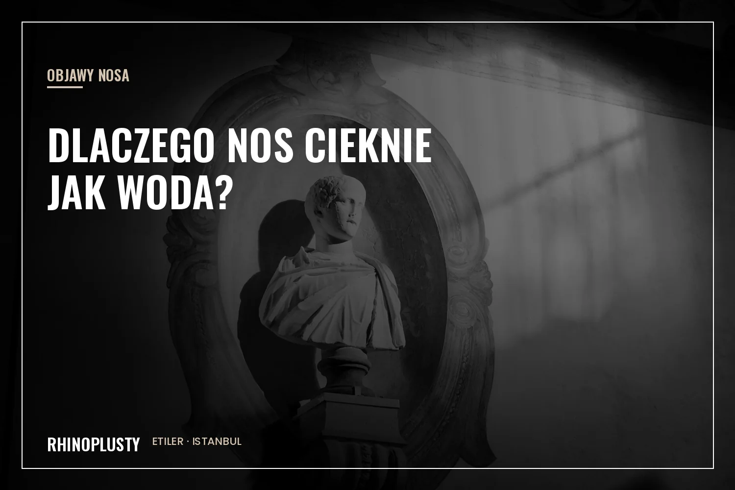 Klasyczny marmurowy profil nosa obok szkicu anatomicznego