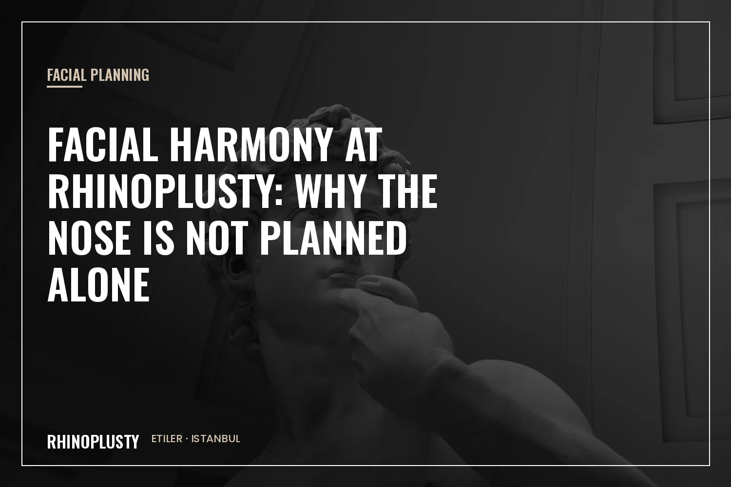 Facial harmony assessment at Rhinoplusty