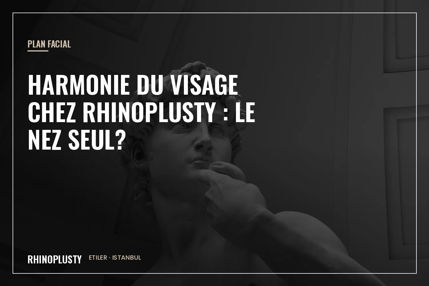 Évaluation de l’harmonie du visage chez Rhinoplusty