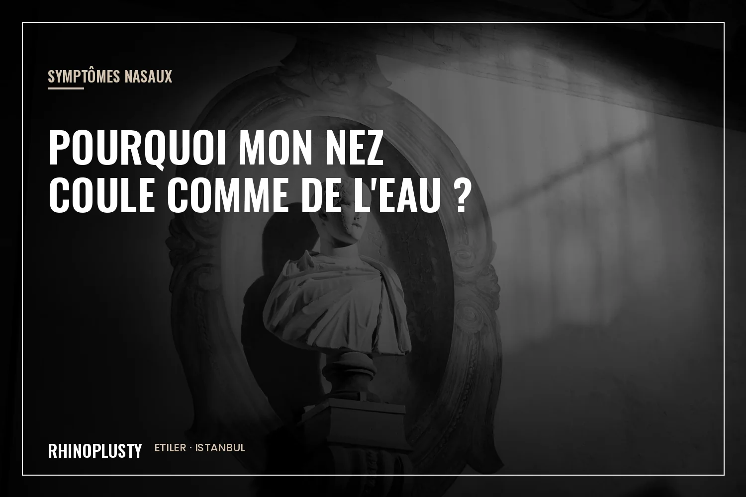 Profil d'un buste classique en marbre avec un dessin anatomique