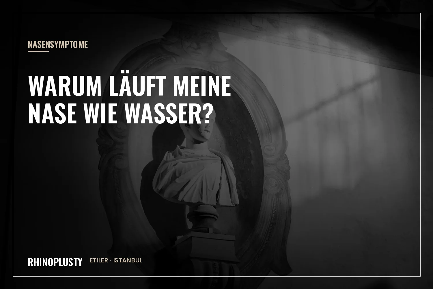 Klassisches Marmorprofil einer Nase mit kleiner anatomischer Skizze
