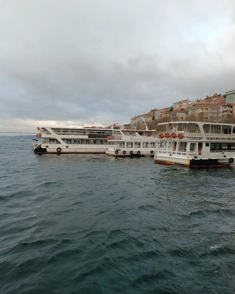 Bebek ve Boğaz kıyısı